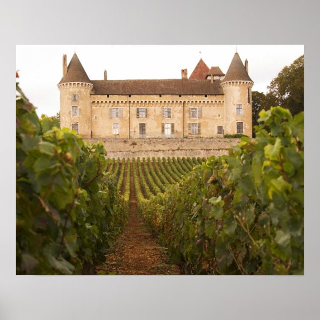 The old mediaeval Chateau de Rully in the Cote Poster (Front)