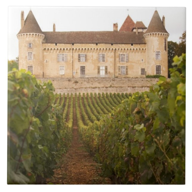 The old mediaeval Chateau de Rully in the Cote Tile (Front)