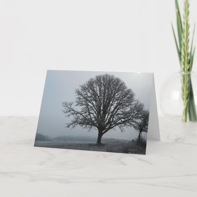 The old Oak tree.. Card (Front)