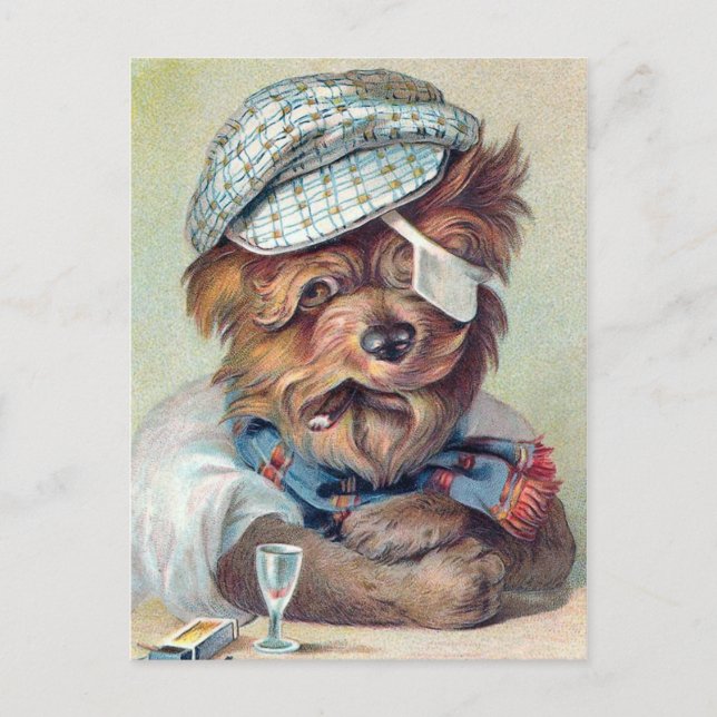 "The Old Rascal" Vintage Dog Postcard (Front)