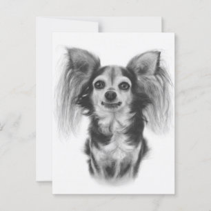 The Old Soul - Hand Painted Chihuahua Expression Postcard