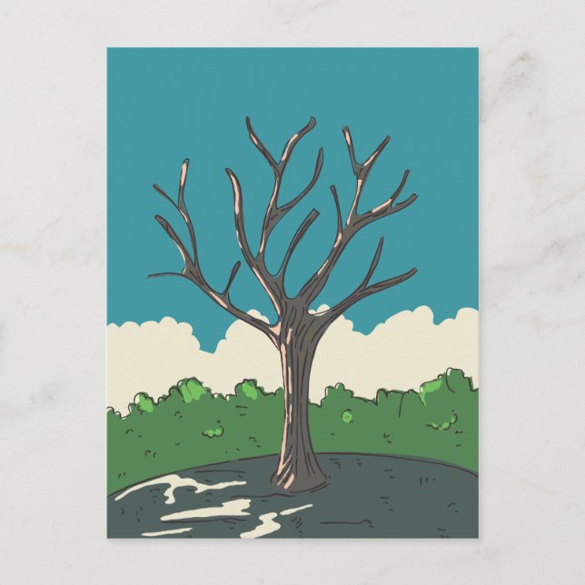The Old Tree Postcard (Front)
