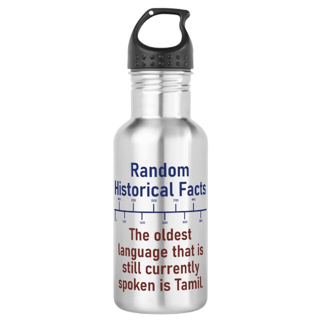 The Oldest Language - History Fact 710 Ml Water Bottle (Front)