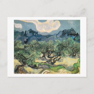 The Olive Trees 1889 Postcard