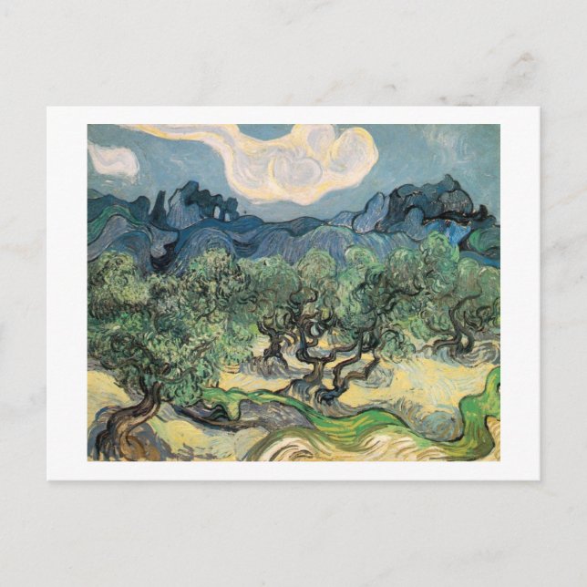 The Olive Trees 1889 Postcard (Front)