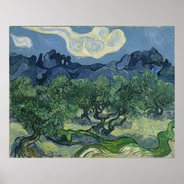 The Olive Trees by Vincent Van Gogh Poster (Front)
