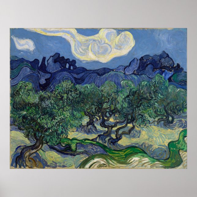 The Olive Trees by Vincent Van Gogh Poster (Front)