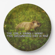 The only thing I want this Groundhog Day plates