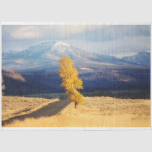 The Open Road Tissue Paper