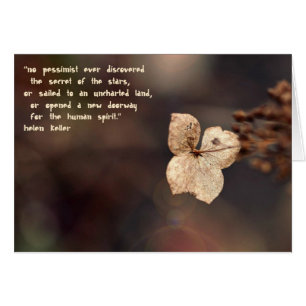The Optimist