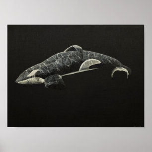 The Orca Poster