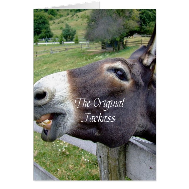 The Original Jackass Funny Donkey Mule Farm Animal (Front)