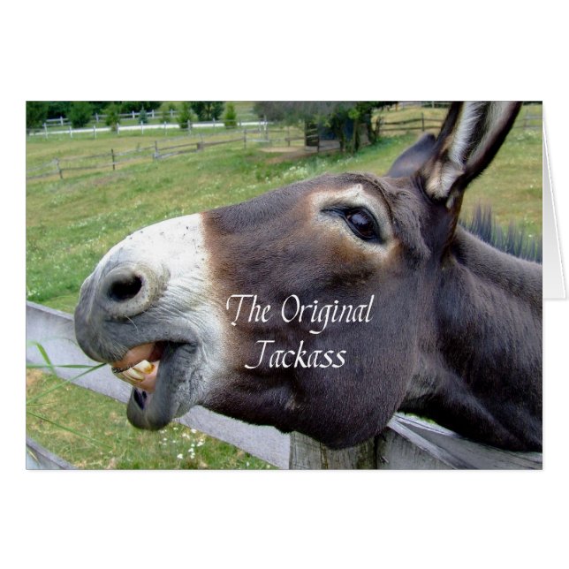 The Original Jackass Funny Donkey Mule Farm Animal (Front Horizontal)