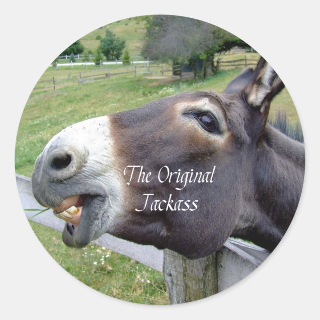 The Original Jackass Funny Donkey Mule Farm Animal Classic Round Sticker (Front)
