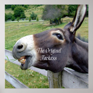 The Original Jackass Funny Donkey Mule Farm Animal Poster