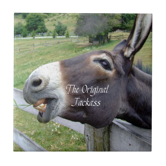 The Original Jackass Funny Donkey Mule Farm Animal Tile (Front)