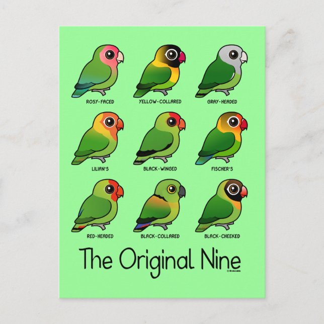 The Original Nine Postcard (Front)