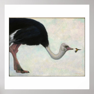 The Ostrich and the Hummingbird by Bryn Barnard Poster