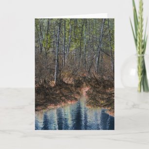 "The Other Side" Digitally Edited Forest and Pond Card
