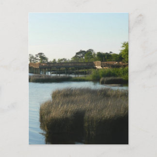 The Outer Banks Sound Postcard