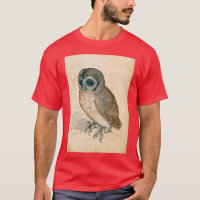 THE OWL Antique Animal Drawings