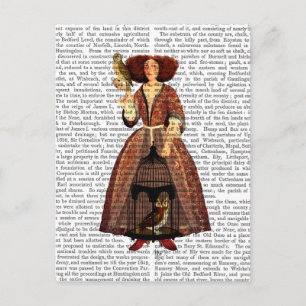 The Owl Lady Postcard