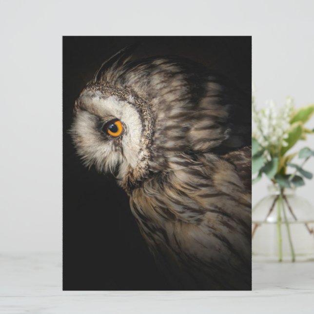 The Owl Mystical Eye | Owl Lovers Gift (Standing Front)