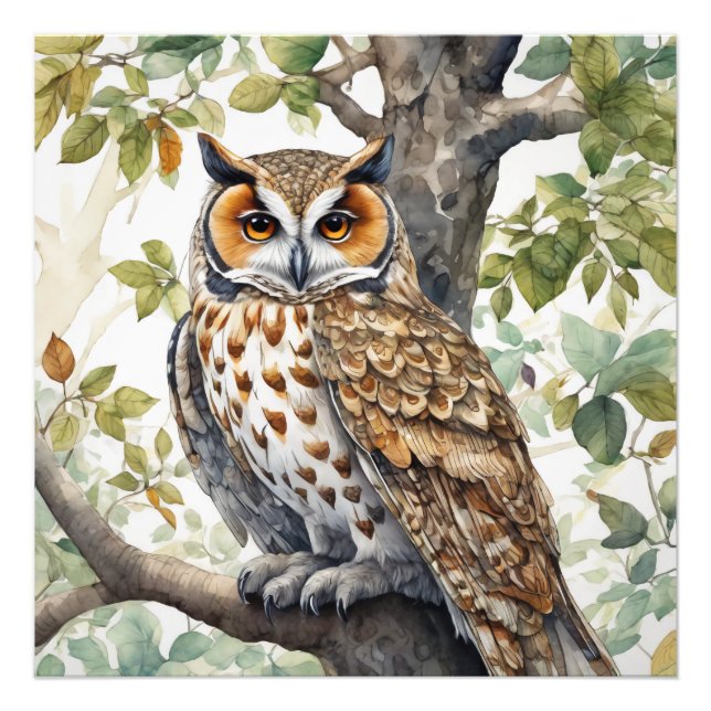 The Owl, Wildlife Illustrative Poster (Front)