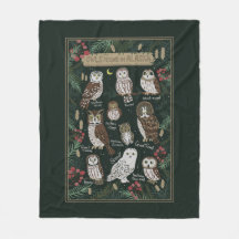 The Owls Found in Alaska Blanket