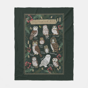 The Owls Found in Alaska Blanket