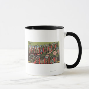 The Ozarks, Arkansas - Large Letter Scenes Mug