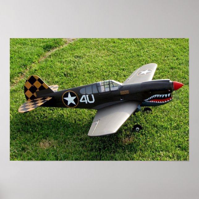 The P-40 Warbird Poster (Front)