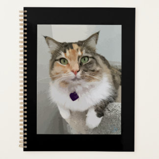 The Painted Calico Queen Planner
