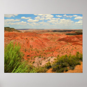 The Painted Desert Poster
