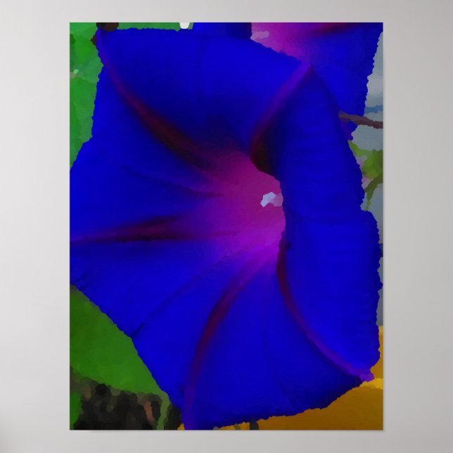 The Painted Morning Glory Poster (Front)