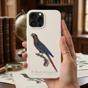 The Painted Parakeet, Pyrrhura Picta iPhone 13 Pro Max Case
