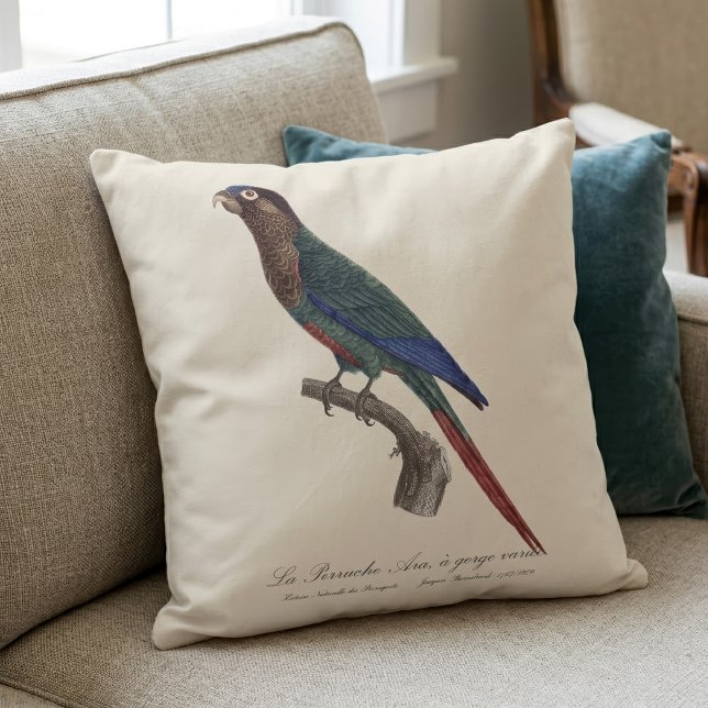 The Painted Parakeet, Pyrrhura Picta Cushion (The Painted Parakeet, Pyrrhura Picta. Throw Pillow)