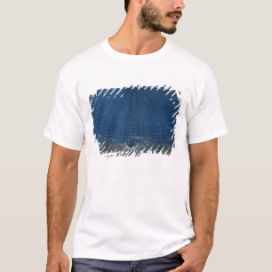 The Palace of the Queen of the Night T-Shirt