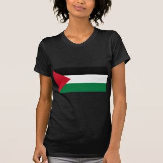 The Palestinian flag (علم فلسطين) T-Shirt