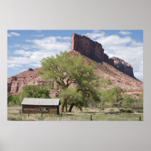 The Palisade and Pioneer Cabin Poster