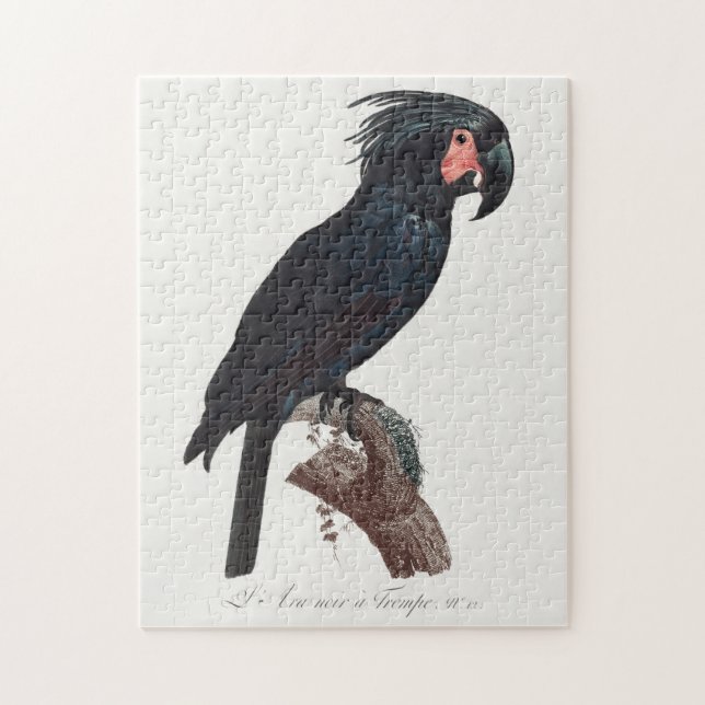 The Palm Cockatoo, Probosciger aterrimus Parrot Jigsaw Puzzle (Vertical)