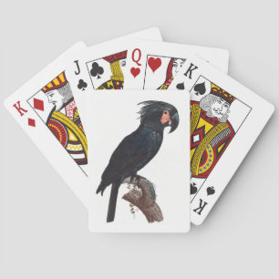 The Palm Cockatoo, Probosciger aterrimus Parrot Playing Cards