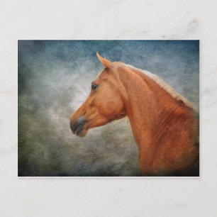 The Palomino Postcard