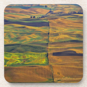 The Palouse from Steptoe Butte, Colfax, Coaster