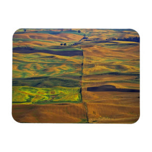 The Palouse from Steptoe Butte, Colfax, Magnet