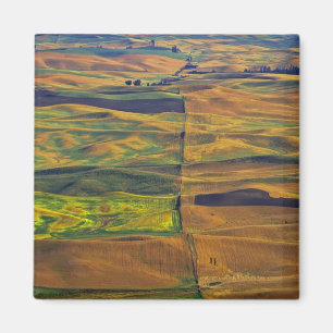 The Palouse from Steptoe Butte, Colfax, Magnet