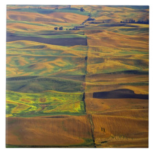 The Palouse from Steptoe Butte, Colfax, Tile
