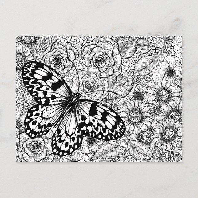 The paper kite garden postcard (Front)