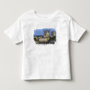 The Parliament Buliding lit up at the inner Toddler T-Shirt