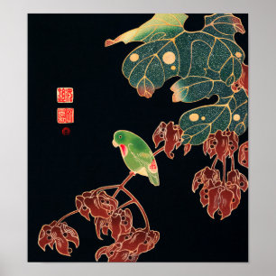 The Paroquet Colourful Bird Japanese illustration Poster